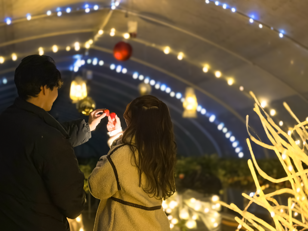 ストロベリーナイト学生応援プラン